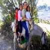 yaz�k lan hayvana.. ac�d�m walla.. ama resimde birden fazla hayvan oldu�u kesin :)